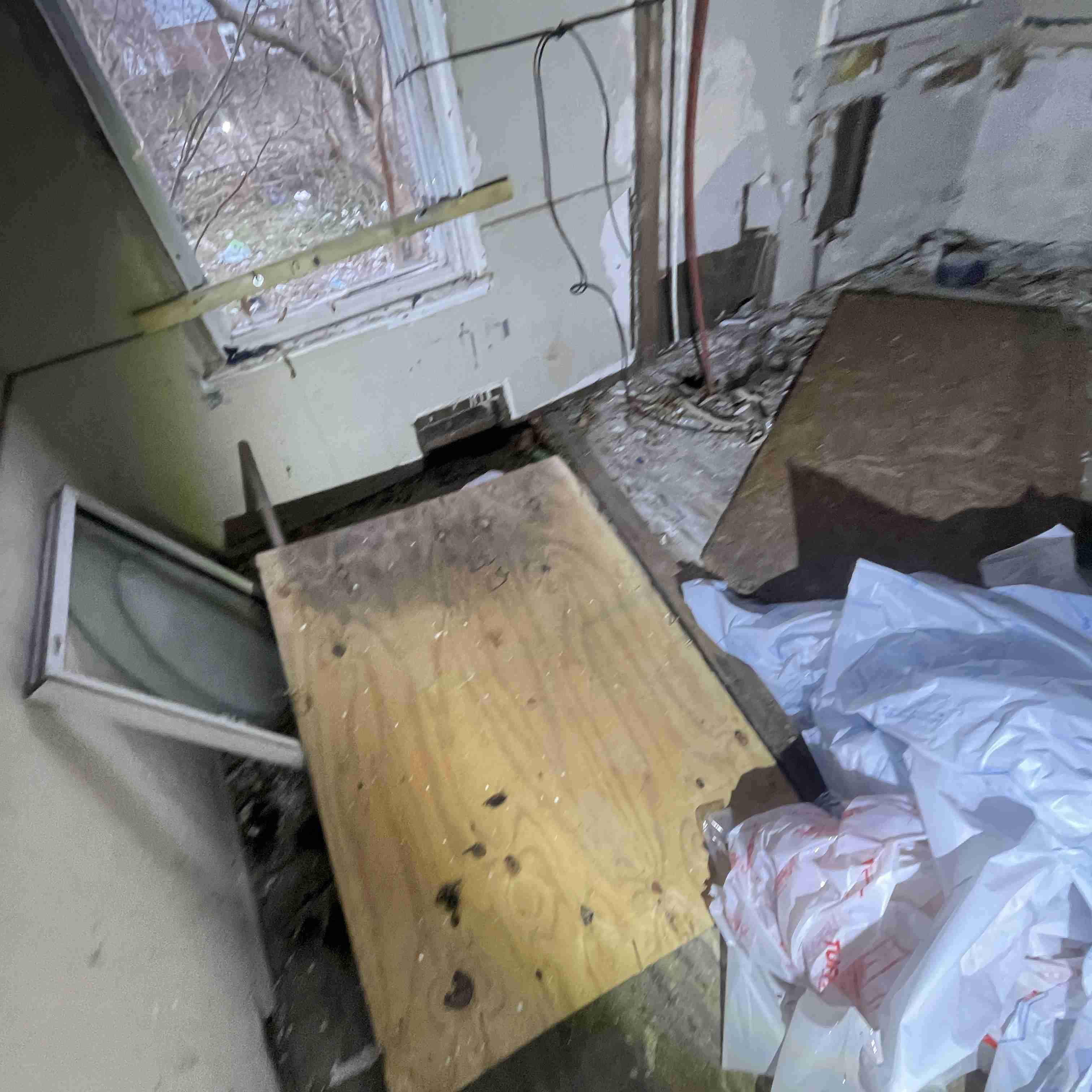 20017 Schoenherr (68).jpg